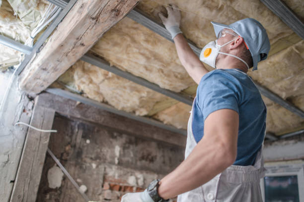 Best Insulation for New Construction  in Mayodan, NC