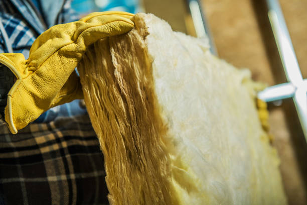 Best Attic Insulation Installation  in Mayodan, NC